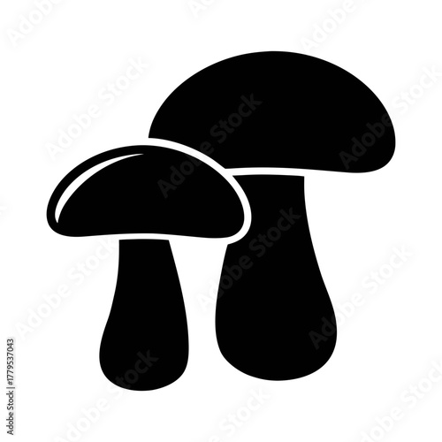 Mushroom vector illustration of edible fungi for cooking and nature themed design elements and art