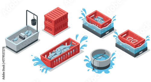 Isometric fish processing cleaning, storage, and packing techniques in 3d