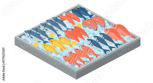 Isometric display of fresh fish and seafood on ice at market