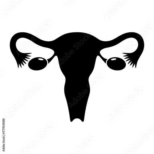Stylized black silhouette of the female reproductive system showing the uterus fallopian tubes and ovaries isolated on a white background