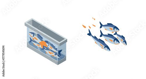 Isometric fish tank and swimming fish in minimalist design
