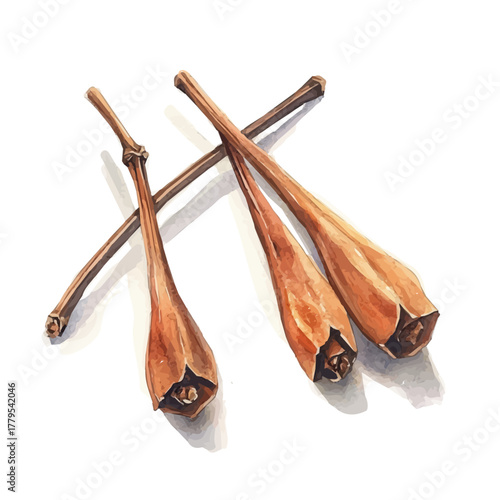 A Watercolor painting of mace spice, delicately hand-painted with artistic brush strokes, minimal layout, white background, vector EPS. vector illustration