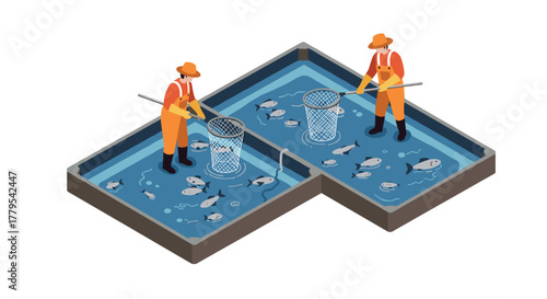 Isometric fish farming process with workers in aquaculture tanks