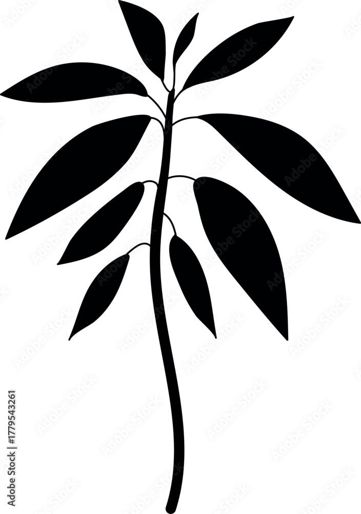 Fototapeta premium Black silhouette of avocado plant (Persea americana) isolated on white background 
