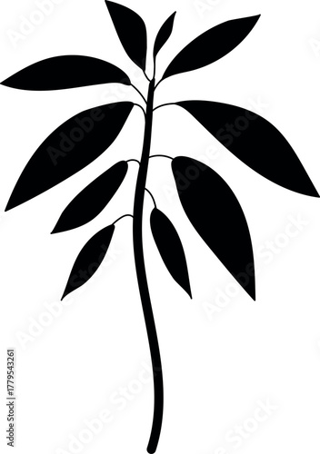 Black silhouette of avocado plant (Persea americana) isolated on white background	