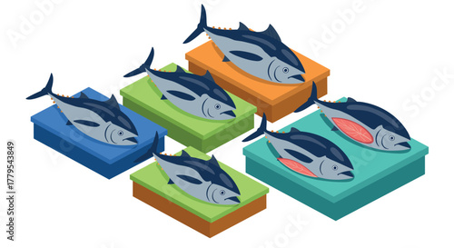 Isometric tuna arrangement on colorful boxes
