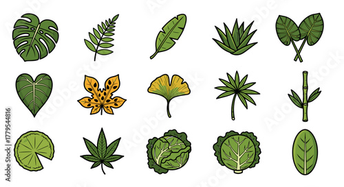 Exotic tropical plant leaves and vegetables drawing, botanical design elements, green foliage