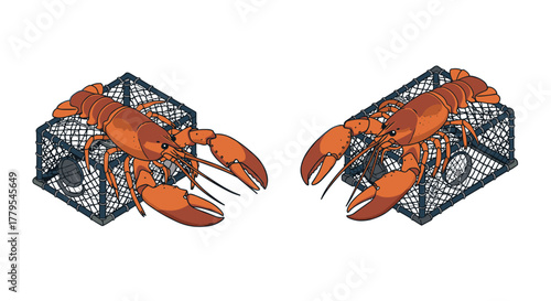 Lobsters in fishing traps isometric style with detailed colorful designs