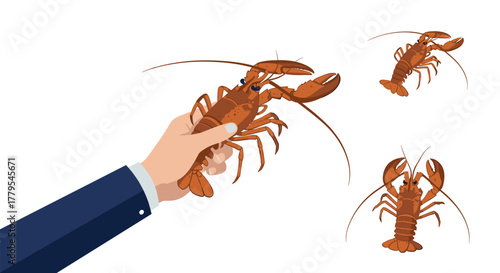 Hand holding lobster in flat style with isolated crustaceans on white background