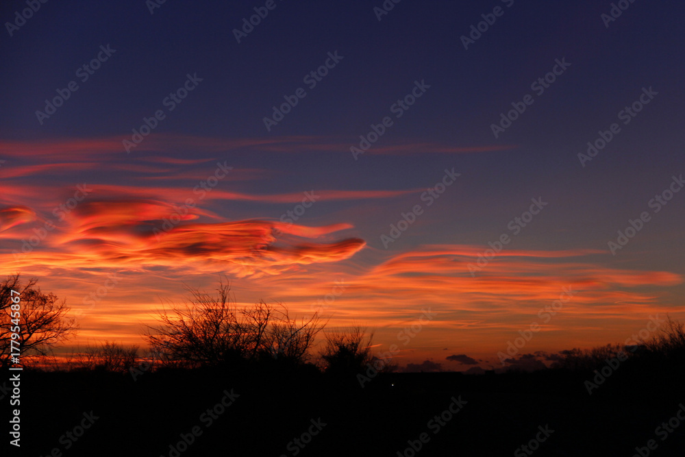 Fototapeta premium super coucher de soleil au dessus des arbres