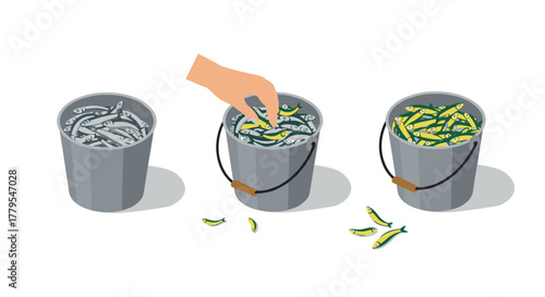 Hand selecting fish from buckets isometric perspective