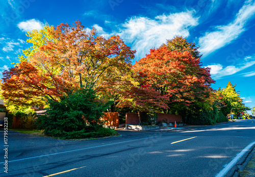 West Seattle Home In Autumn 5