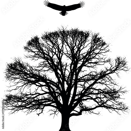 Striking black silhouette of a majestic, bare tree with intricate branches, under a powerful bird of prey in flight, embodying wild freedom, natural resilience, and serene wilderness