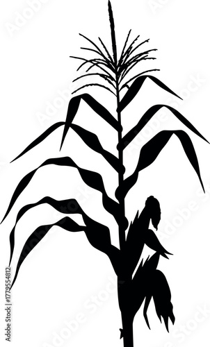 A stark black silhouette of a tall corn stalk, illustrating the essence of agricultural growth and bountiful harvest from nature's valuable bounty