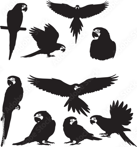 Macaw parrot silhouette vector set in various poses, isolated on transparent background.