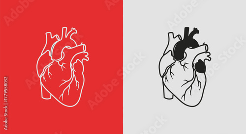 Anatomical Heart Illustration on Contrasting Backgrounds.