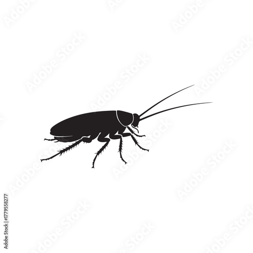 Cockroach silhouette icon vector flat illustration