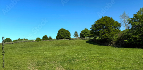 A verdant field unfurls beneath a clear blue sky, fringed with scattered trees. The scene radiates quiet serenity in Allerton, Bradford, UK
