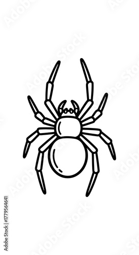 Detailed Spider Illustration Crawling on White Background, Perfect for Halloween Decoration & Educational Resources: Arachnid Line Art for Science, Biology, Education, Creepy Designs, Spooky Invitatio
