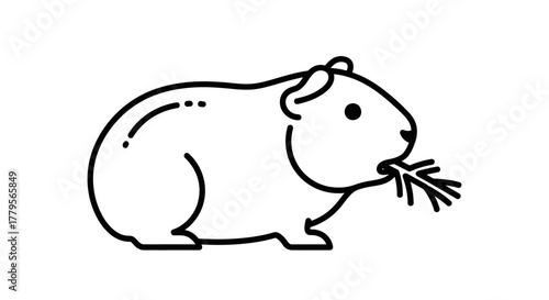 A guinea pig outline, depicted in black and white, eating grass.