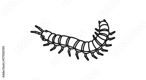 A black and white line drawing of a centipede with many legs and a segmented body.