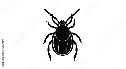 A black and white illustration of a tick, detailed and isolated on white.