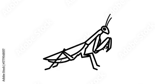 A simplistic black and white line drawing of a praying mantis standing with its forelegs raised.