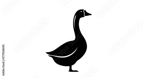 A black silhouette of a goose with its neck curved in a graceful S-shape, standing against a white background.