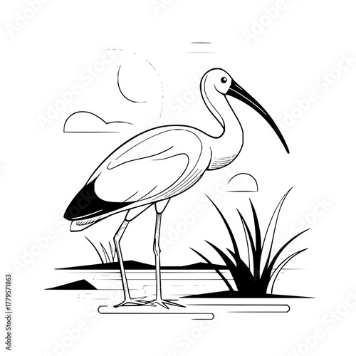 Illustration of a white ibis standing in a marsh with tall grass and clouds in the background scenery