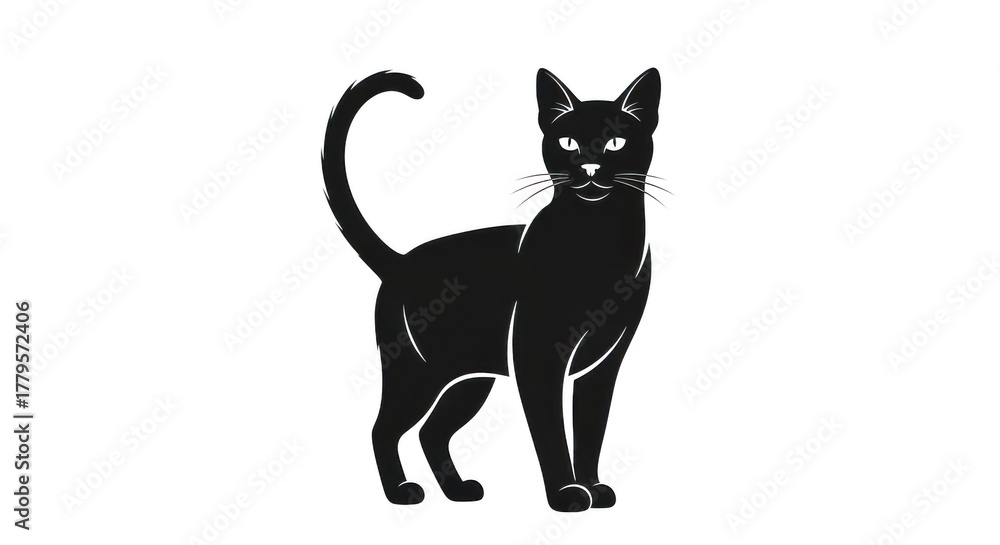 Obraz premium Cat isolated on transparent background