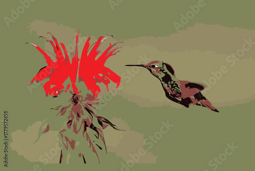 A tiny hummingbird with intricate plumage hovers in mid air its long beak dipping into a vibrant red tubular flower for nectar showcasing nature s delicate dance