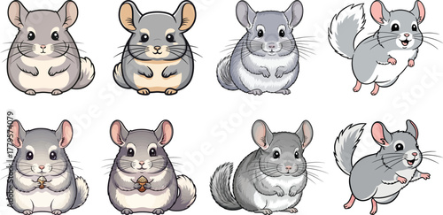 Cute Cartoon Chinchilla Illustrations Set
