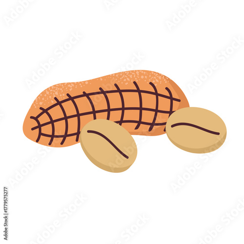 Peanut with beans icon clipart logotype isolated illustration