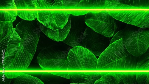 Green leafy plant with neon green leaves. The leaves are arranged in a way that they look like they are in a row