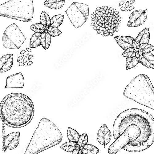 Pesto sauce ingredients vector illustration. Hand drawn sketch. Italian food. Basil, parmesan cheese, pine nuts, garlic, salt, arugula, mortar and pestle