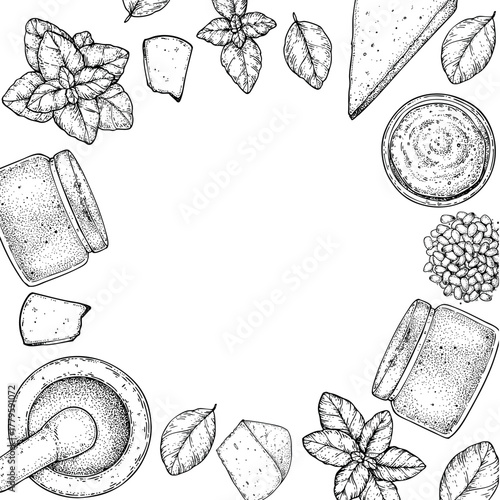 Pesto sauce ingredients vector illustration. Hand drawn sketch. Italian food. Basil, parmesan cheese, pine nuts, garlic, salt, arugula, mortar and pestle