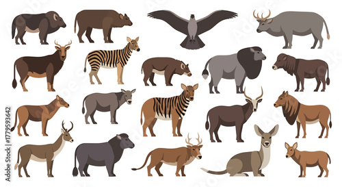 Cartoon illustration of various wild animals, including mammals and birds, in a flat design style.