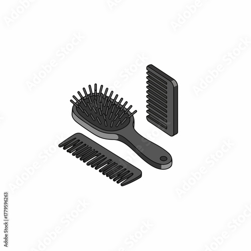 Isometric Detailed Hairbrush and Comb Set for Styling and Grooming