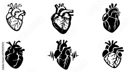 Heart Anatomy: Six stylized depictions of a human heart, varying in artistic detail, offer a glimpse into the complexities of this vital organ. Ideal for medical or educational uses. 