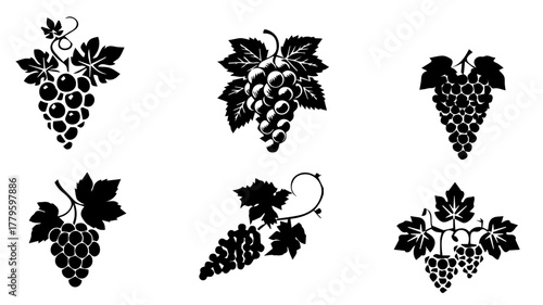 Vineyard Delights: An array of stylized grape clusters, each elegantly rendered with intricate detail, offers a classic portrayal of the fruit and its vine heritage. 