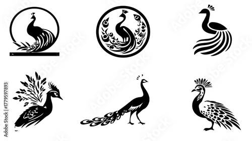Elegant Peacock Collection: A compilation of striking illustrations, each depicting the peacock's beauty with diverse poses, details, and decorative elements in monochromatic format.