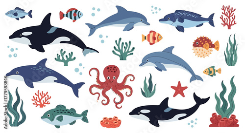 A vibrant collection of marine life, including orcas, dolphins, octopuses, fish, and coral reefs, set against a white background.