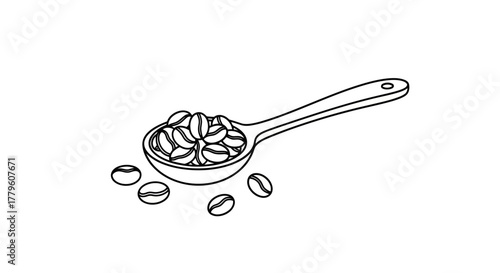 A simple line drawing of coffee beans overflowing from a spoon
