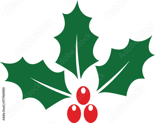 holly berries and leaves