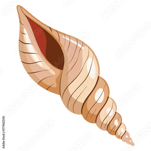 White seashell vector illustration isolated on white background perfect for beach marine decor ocean themed educational design or creative artwork