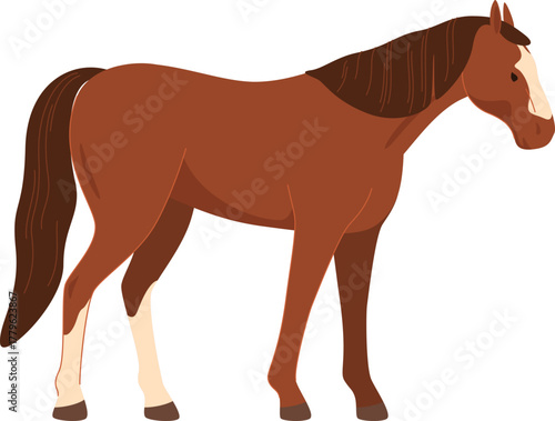 domesticated horses animals work walks competitions horse racing vector illustration