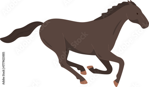 domesticated horses animals work walks competitions horse racing vector illustration