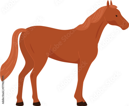 domesticated horses animals work walks competitions horse racing vector illustration