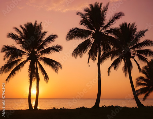 sunset on the tropical beach