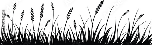 Black silhouette of tall grass and wheat stalks against a white background